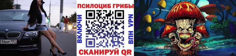 Галлюциногенные грибы Psilocybe хочу наркоту площадка какой сайт Болхов